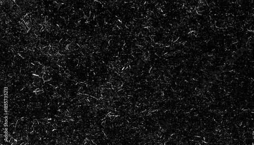 Wallpaper Mural Image shows textured black surface with scattered white specks, resembling noise or static. pattern is random and abstract, creating chaotic Torontodigital.ca