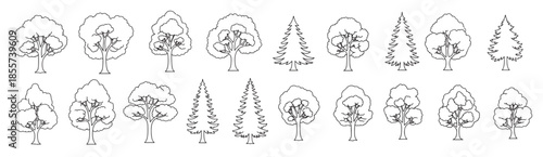 silhouette tree line drawing set for architecture