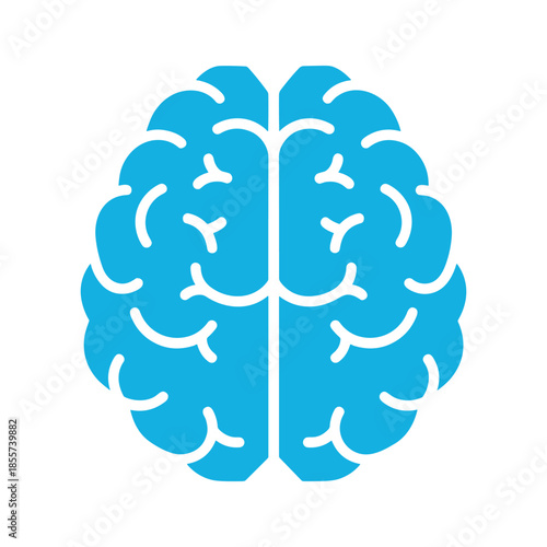 Brain Illustration