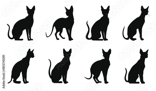peterbald cat silhouettes vector bundle black cats
