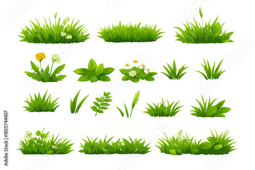 Vibrant Green Grass and Wildflowers