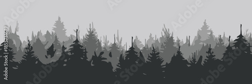 forest monochrome conifer vector background for design projects