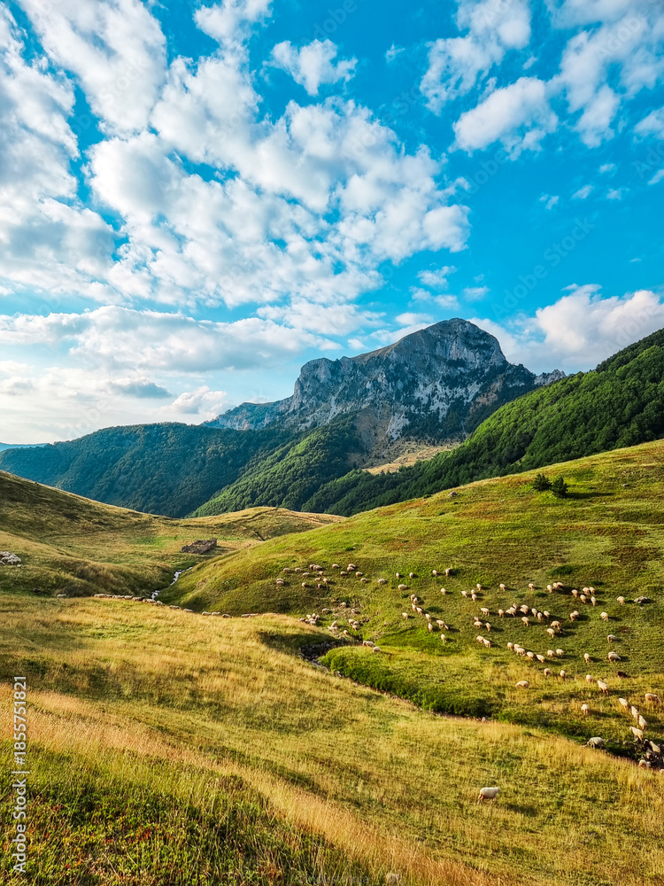 Fototapeta premium Sunlit mountain ridge with dramatic rocky peaks and soft clouds, creating a cinematic alpine landscape at golden hour.​