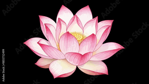 Elegant pink lotus flower with detailed petals and vibrant colors