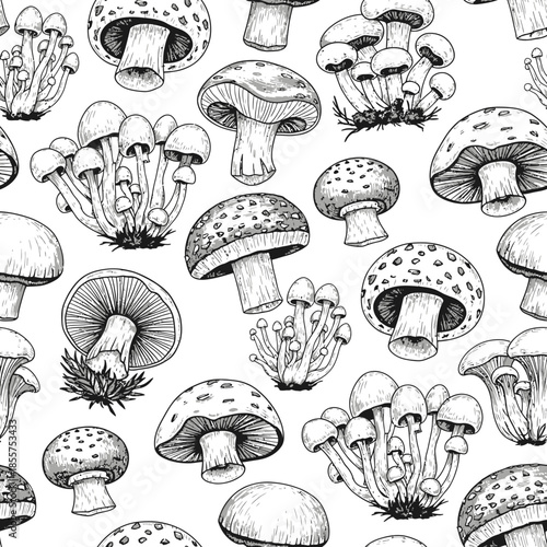 Hand Drawn Mushrooms Ink Drawing Vector Style Botanical Illustrations Gilled Spotted Clustered Stems Heads Grayscale.png
