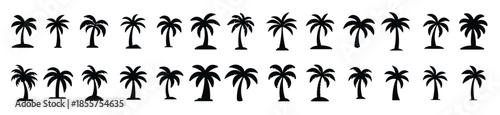 Palm tree vector silhouette collection
