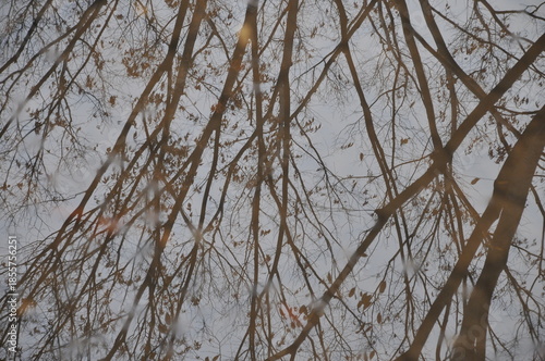 水溜り映り込み