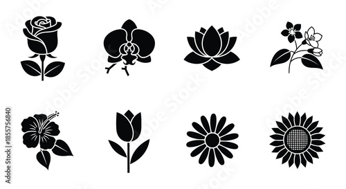 Black and white floral silhouettes depicting various flower types in a grid pattern