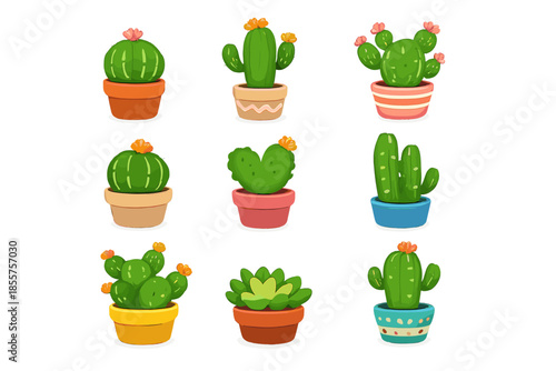 Collection of Potted Cactus Plants with Flowers
