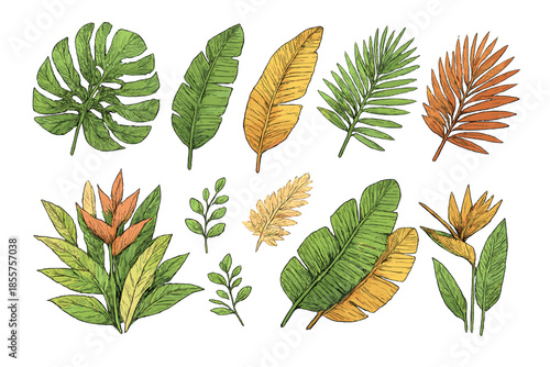 Tropical Leaves and Flowers Hand-Drawn Style