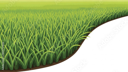 Vibrant green grass field a lush natural landscape illustration with a curved edge perfect for environmental or agricultural concepts