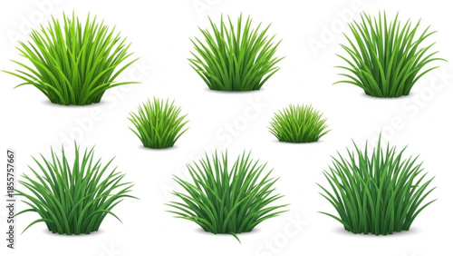 Collection of green grass clumps realistic vector illustrations of lawn elements for landscape design and gardening concepts isolated on white