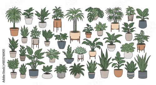 Large set of various houseplant illustrations in different styles of pots and stands for interior decoration themes.