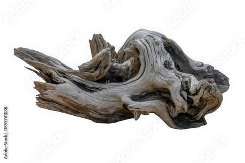 A gnarled and textured piece of weathered driftwood isolated on a white background isolated on transparent background