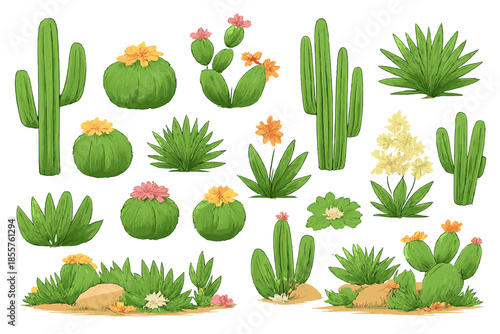 Desert Cactus and Desert Plants Collection