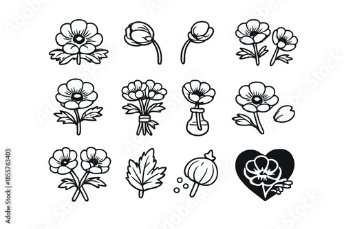 Set of hand-drawn anemone flowers and poppy seed pods