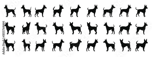 portuguese podengo dog silhouette set