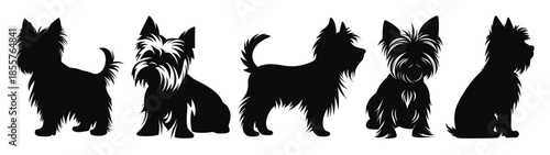 set of yorkshire terrier dogs silhouettes vector