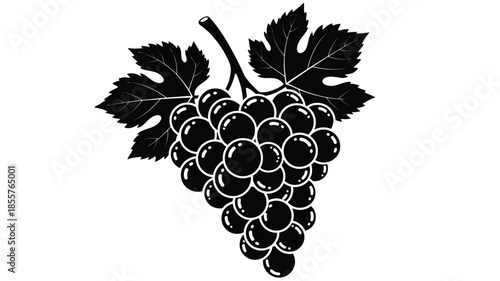 A detailed illustration of a grape bunch and leaf in silhouette