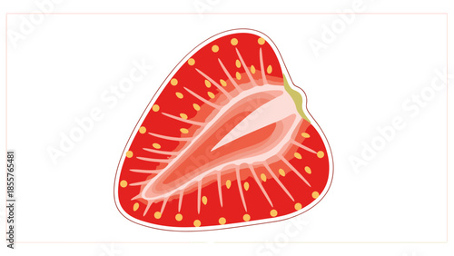 Strawberry Slice Illustration with Seeds Visible.