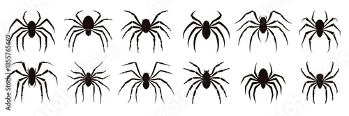 spider silhouettes vector set spiders black silhouette bundle