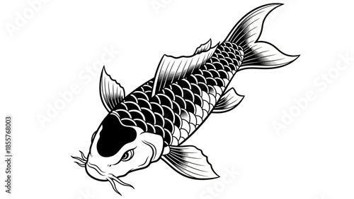 Blackwork koi fish tattoo vector, bold solid black ink style .