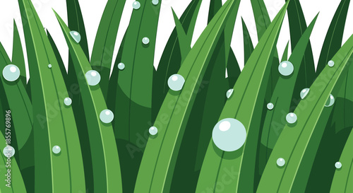 grass blades with dew drops illustration forming a fresh green background early morning nature design for eco product packaging and banners