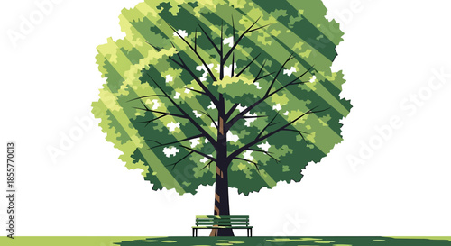 park tree illustration with bench under sunlight in summer daylight green city nature concept for eco campaign poster or website background