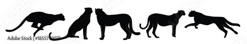 set of cheetahs silhouette isolated on a white background