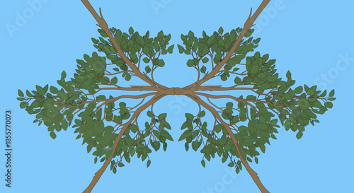 tree canopy top view symmetrical branches illustration on blue sky background for nature concept designs outdoor posters and eco branding