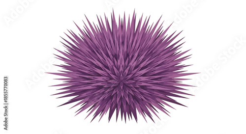 purple sea urchin vector illustration shown as spiky abstract marine animal icon on white background for ocean science and aquarium design