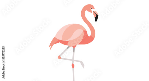 Minimalist Illustration of a Flamingo Standing on One Leg with a Simple Design