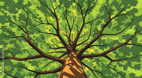 tree canopy illustration from below showing branches and green leaves in summer forest nature background for ecology and wellness design