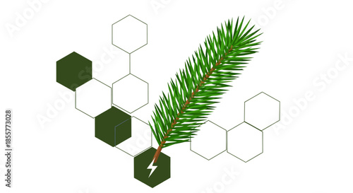 pine essential oil chemistry concept with green conifer sprig over abstract hexagon molecule network for natural cosmetics and organic product branding