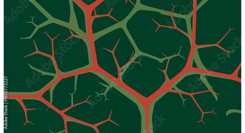 vein pattern vector background with branching organic lines in red and green abstract medical and nature design for science infographics
