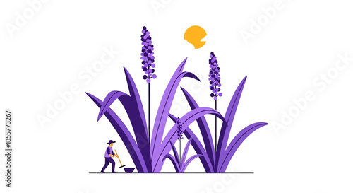 lavender farm illustration with tiny farmer working among oversized purple plants under summer sun concept art for organic agriculture branding