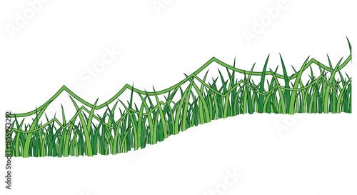 grass border seamless horizontal vector illustration of green lawn blades forming a decorative strip for landscaping gardening and eco design