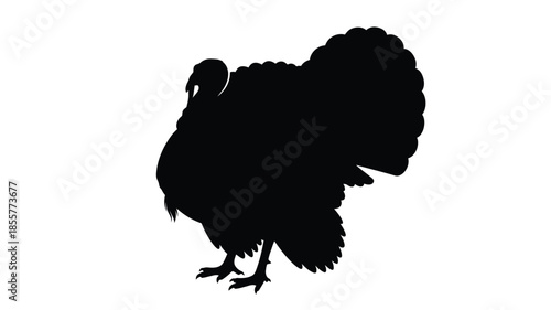 A striking black silhouette of a proud turkey in profile silhouette