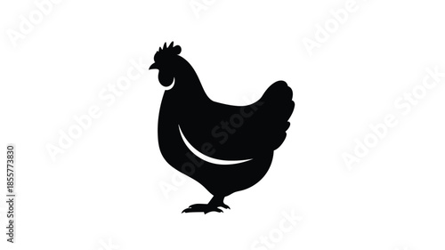 A striking black chicken form a bold and simple silhouette