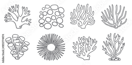 nine gray scale coral reef silhouette illustrations diverse