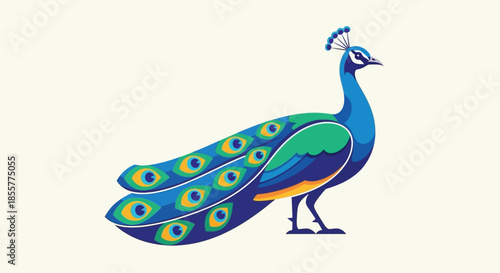 Stylized illustration of a colorful peacock with vibrant feather details suitable for nature art