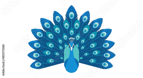 Stylized illustrated peacock with vibrant feathers fanning out showcasing elegant design and vivid