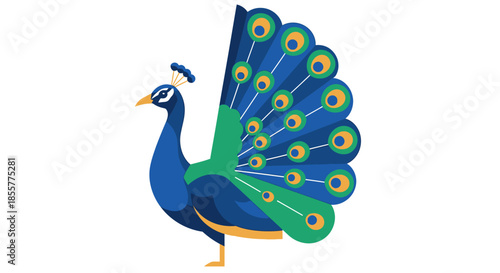 Stylized illustration of a vibrant peacock with detailed feathers displaying vivid colors and