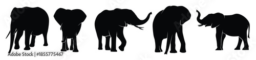 set of elephants silhouette isolated on a white background