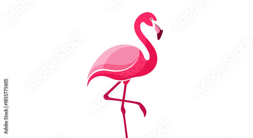 Stylized pink flamingo illustration with elegant pose and vivid colors suitable for tropical or