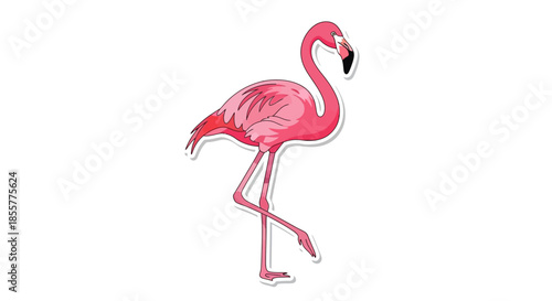 Stylized Pink Flamingo Illustration with Elegant Posture for Nature and Wildlife Themes