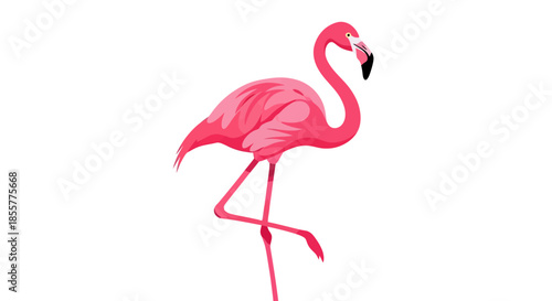 Stylized pink flamingo illustration with exaggerated features and playful design for decorative or