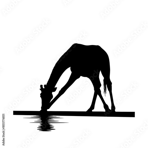 Majestic camel bending down to drink from serene oasis water