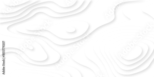Abstract white papercut luxury diamond creative technology background. vector natural shadow papercut web topography map spiral line origami wave business texture.
