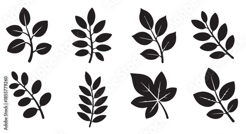 nine black silhouette leaf branch and single leaf designs